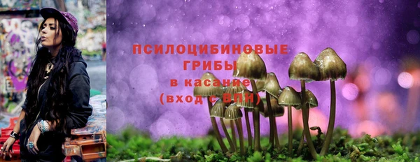 таблы Мегион