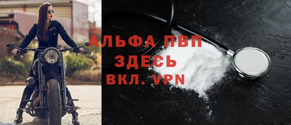 стафф Сосновоборск