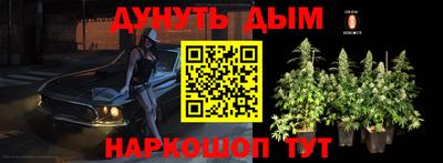 индика Азнакаево