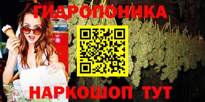 сатива Волжский
