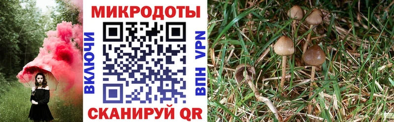ссылка на мегу зеркало  Гагарин  сайты даркнета наркотические препараты  купить наркотик  Галлюциногенные грибы ЛСД 