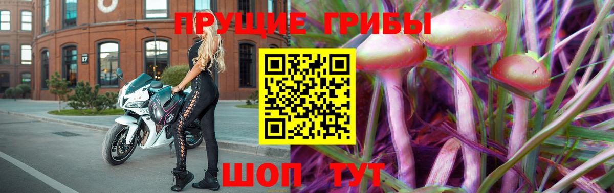 Гагарин  Галлюциногенные грибы Psilocybe  Вход с VPN 